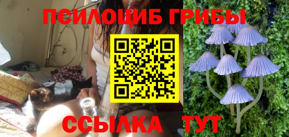Клин  Псилоцибиновые грибы прущие грибы  Вход с VPN  Псилоцибиновые грибы ЛСД 